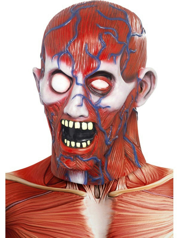 Men's Anatomy Man Full Overhead Costume Adult Latex Mask