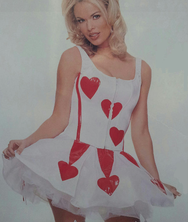 Womens Sexy Heart Valentine's Day Corset and Skirt Adult Costume Size M/L