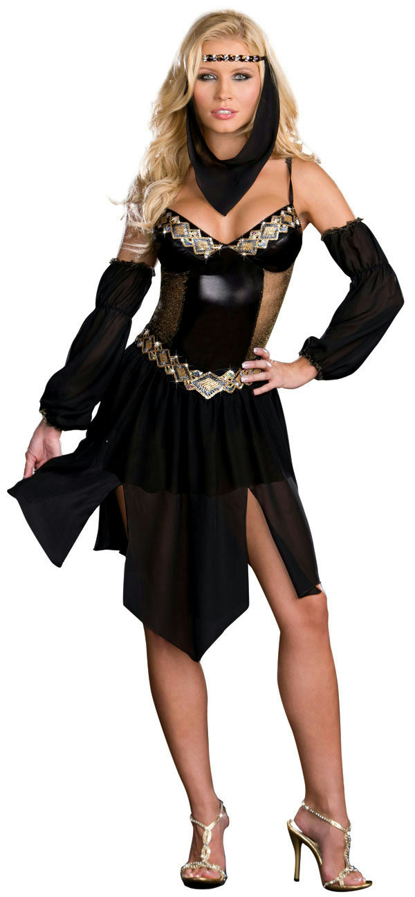 Dreamgirl Women's Sexy Harem Arabian Nights Girl Costume Adult Costume XS 0-2