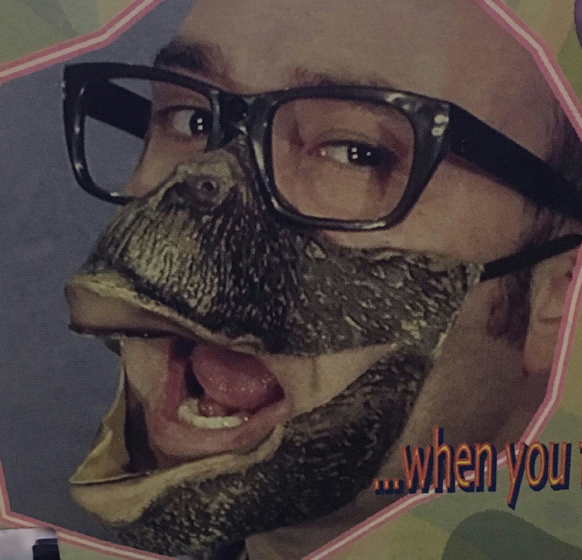 Cesar Fun Glasses with Gorilla Nose Mouth and Chin
