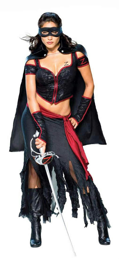 Secret Wishes Sexy Lady Zorro Women's Adult Costume Size Small 2-6