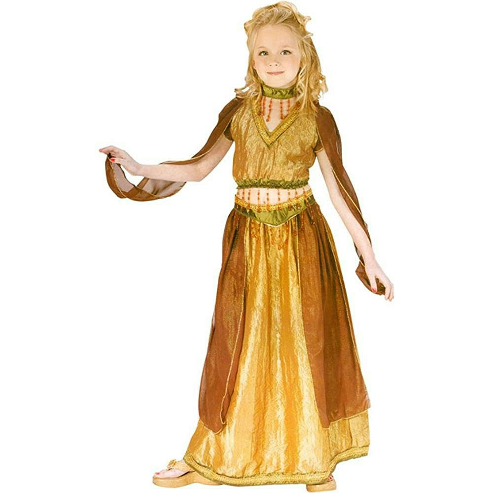 Fun World Girl's Arabian Princess Belly Dancer Child Costume Medium 8-10