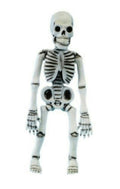 17" Latex Posable Skeleton Halloween Prop Decoration
