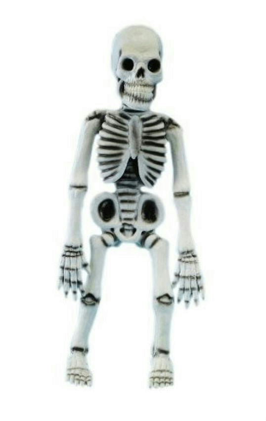 17" Latex Posable Skeleton Halloween Prop Decoration