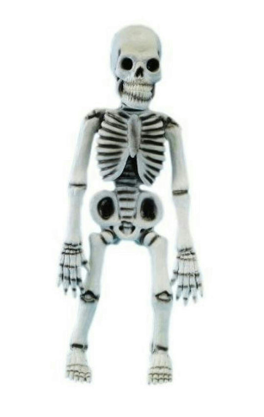 17" Latex Posable Skeleton Halloween Prop Decoration