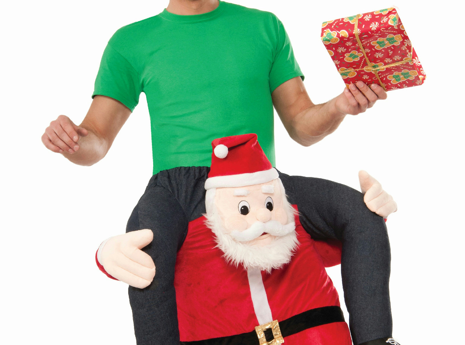 Special Delivery From Santa Man Riding Santa Claus Christmas Mascot Costume