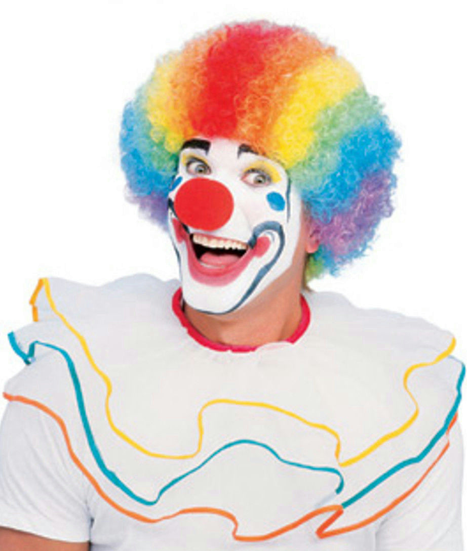 Multi Color Rainbow Clown Afro Adult Wig