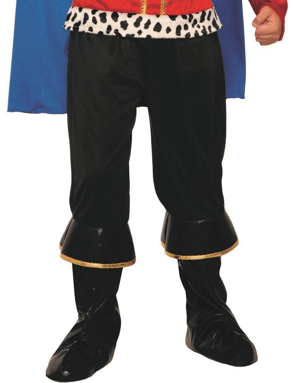 Royal King Regal Kids Halloween Costume Large 12-14