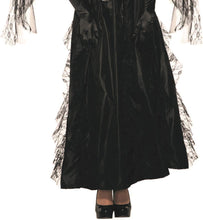 Load image into Gallery viewer, Fallen Black Angel Adult Gothic Costume Dress
