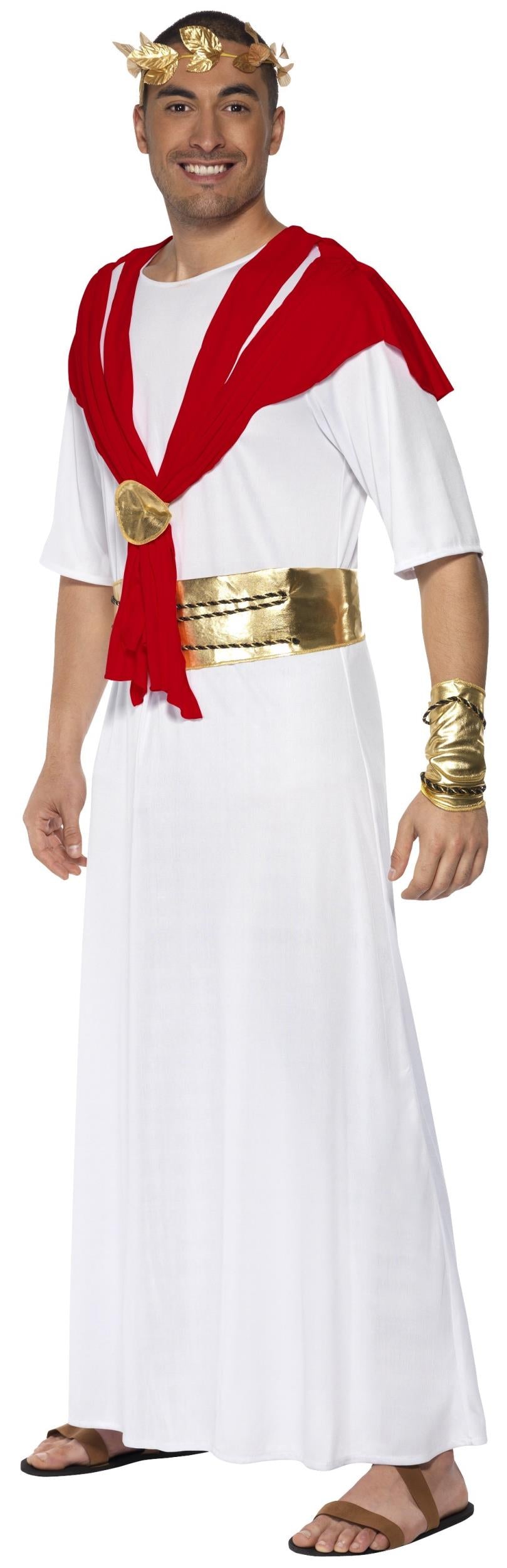 Romulus the King Adult Toga Roman Costume Large