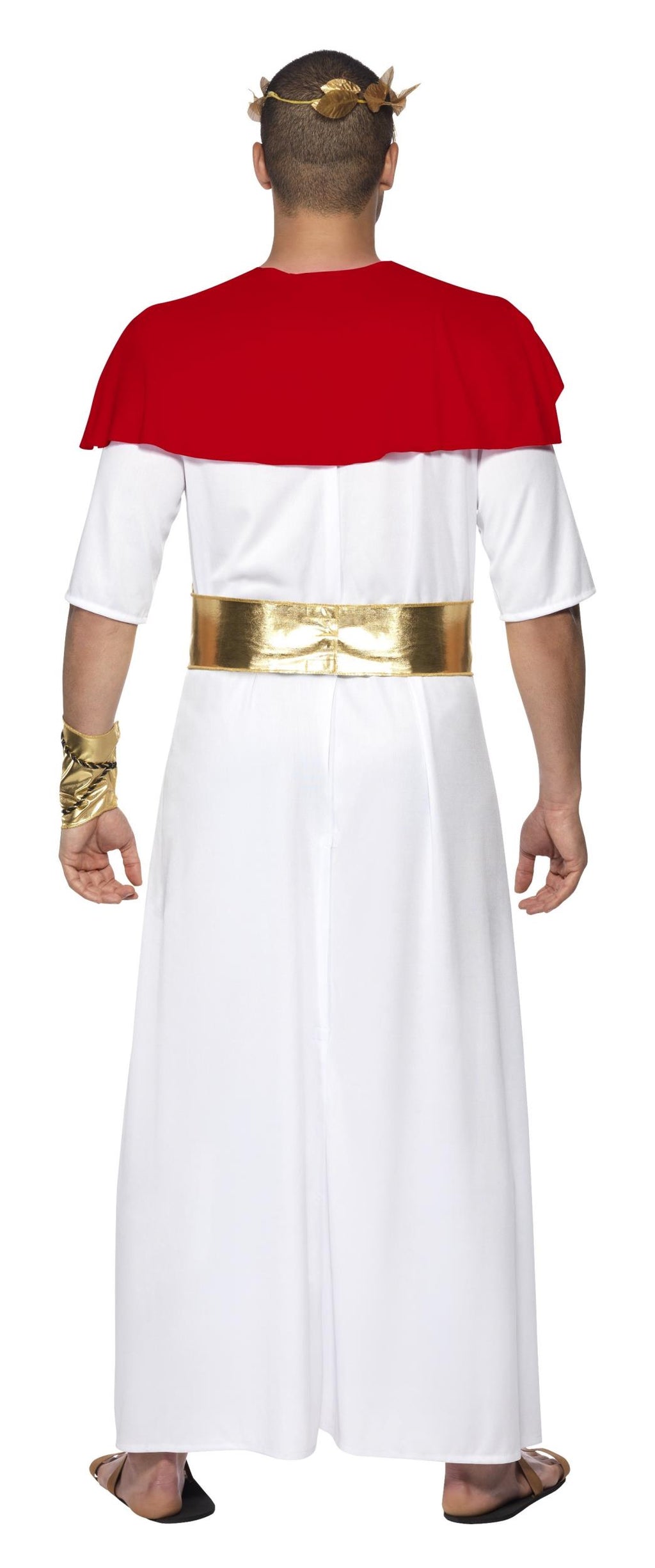 Romulus the King Adult Toga Roman Costume Large
