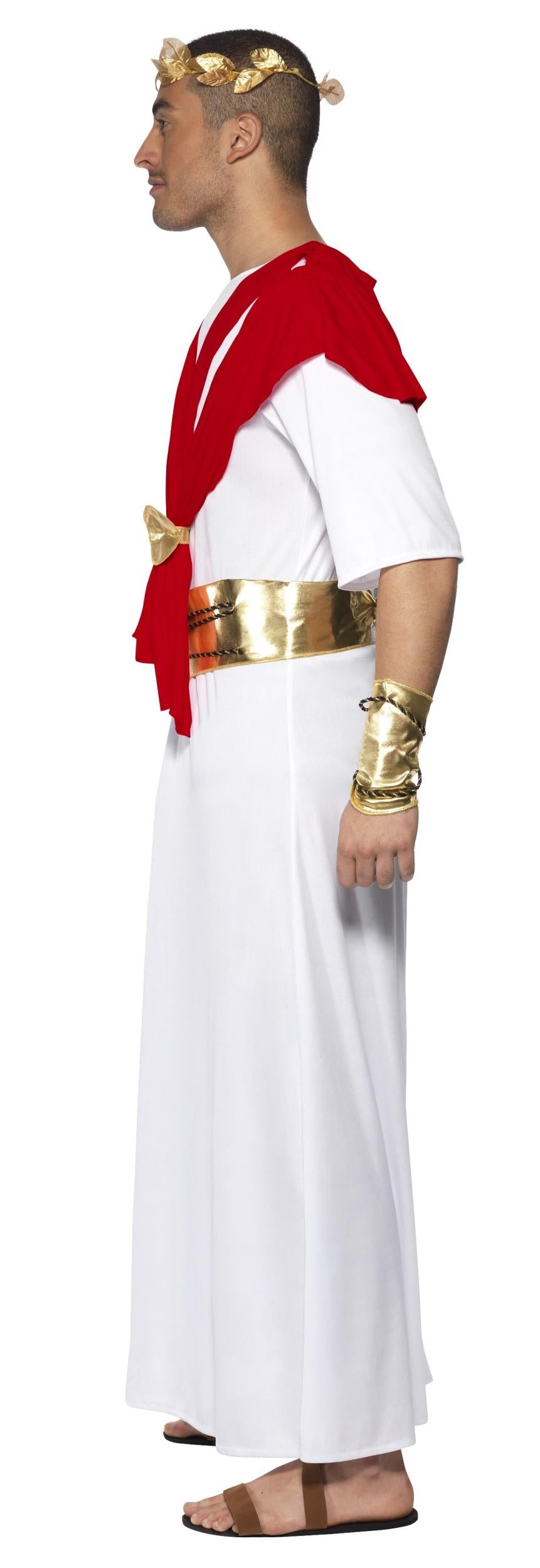 Romulus the King Adult Toga Roman Costume Large