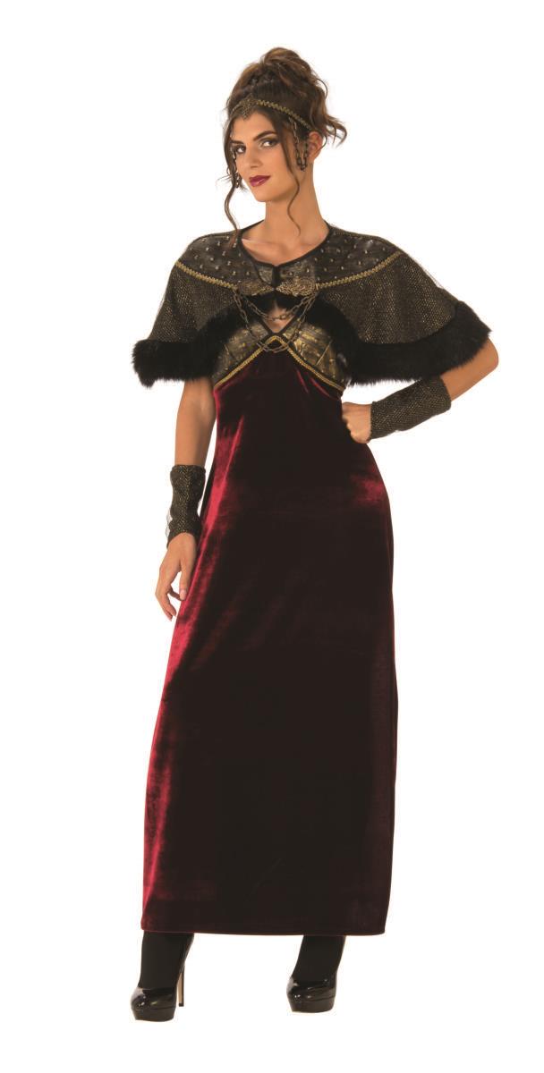 Adult Gothic Medieval Lady Costume Size Medium 10-12