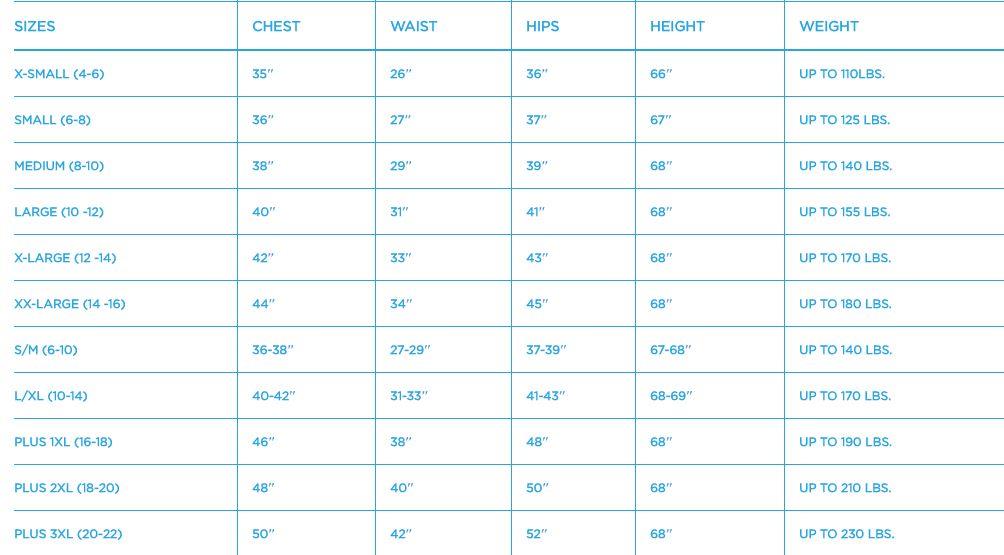 California Costumes Gothic Lady Of The Manor Costume Size Large