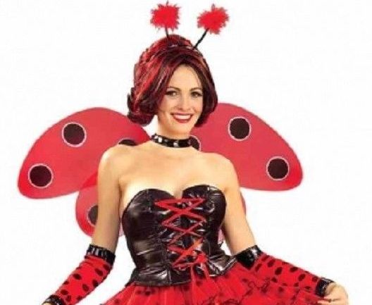 Luscious Ladybug Sexy Adult Costume Size Medium/Large