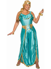 Load image into Gallery viewer, Baby Blue Jasmine Harem Girl Genie Princess Costume Plus Size 18-22
