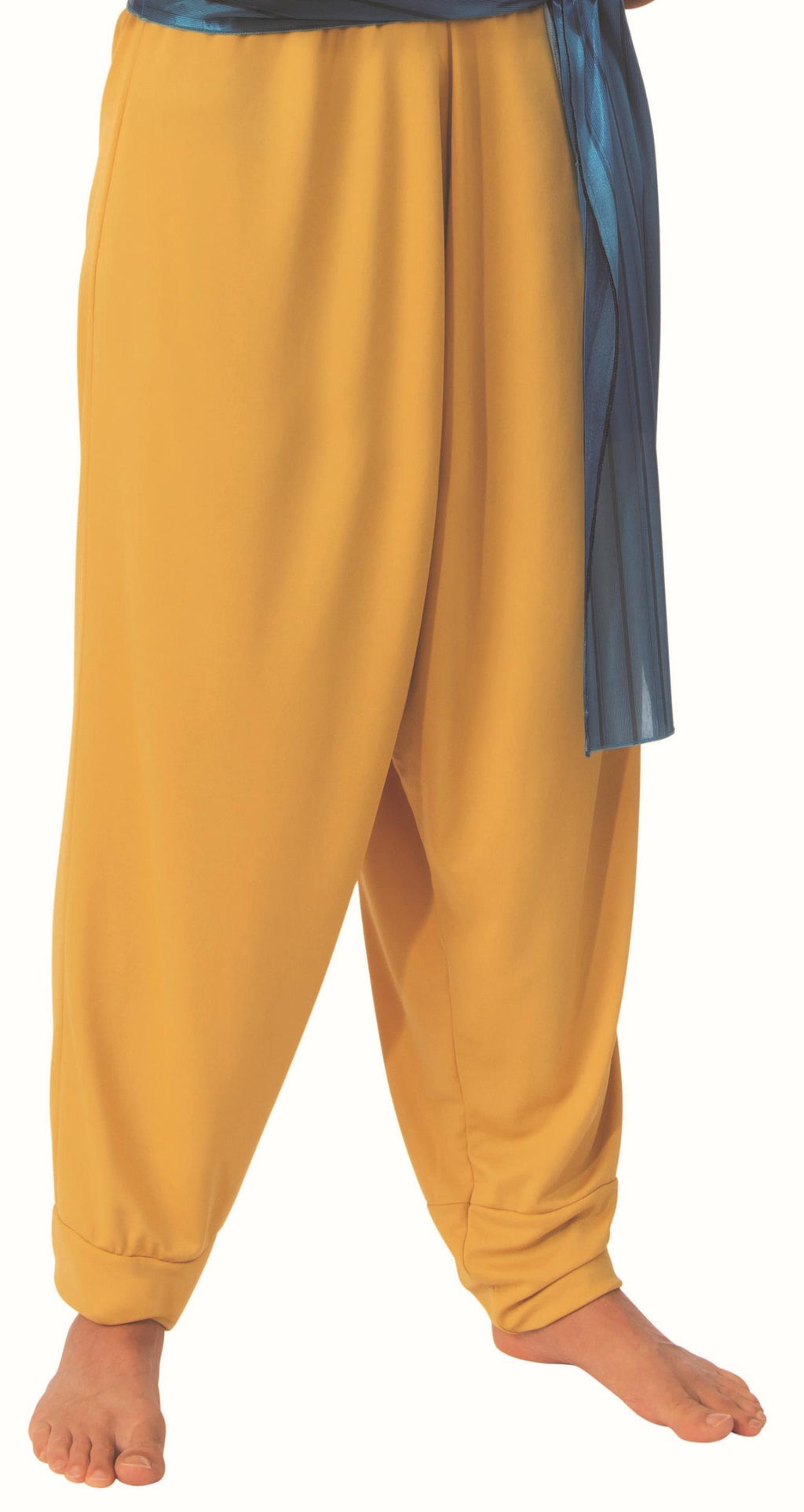 Sultan Arabian Prince Aladdin Adult Costume Size Standard