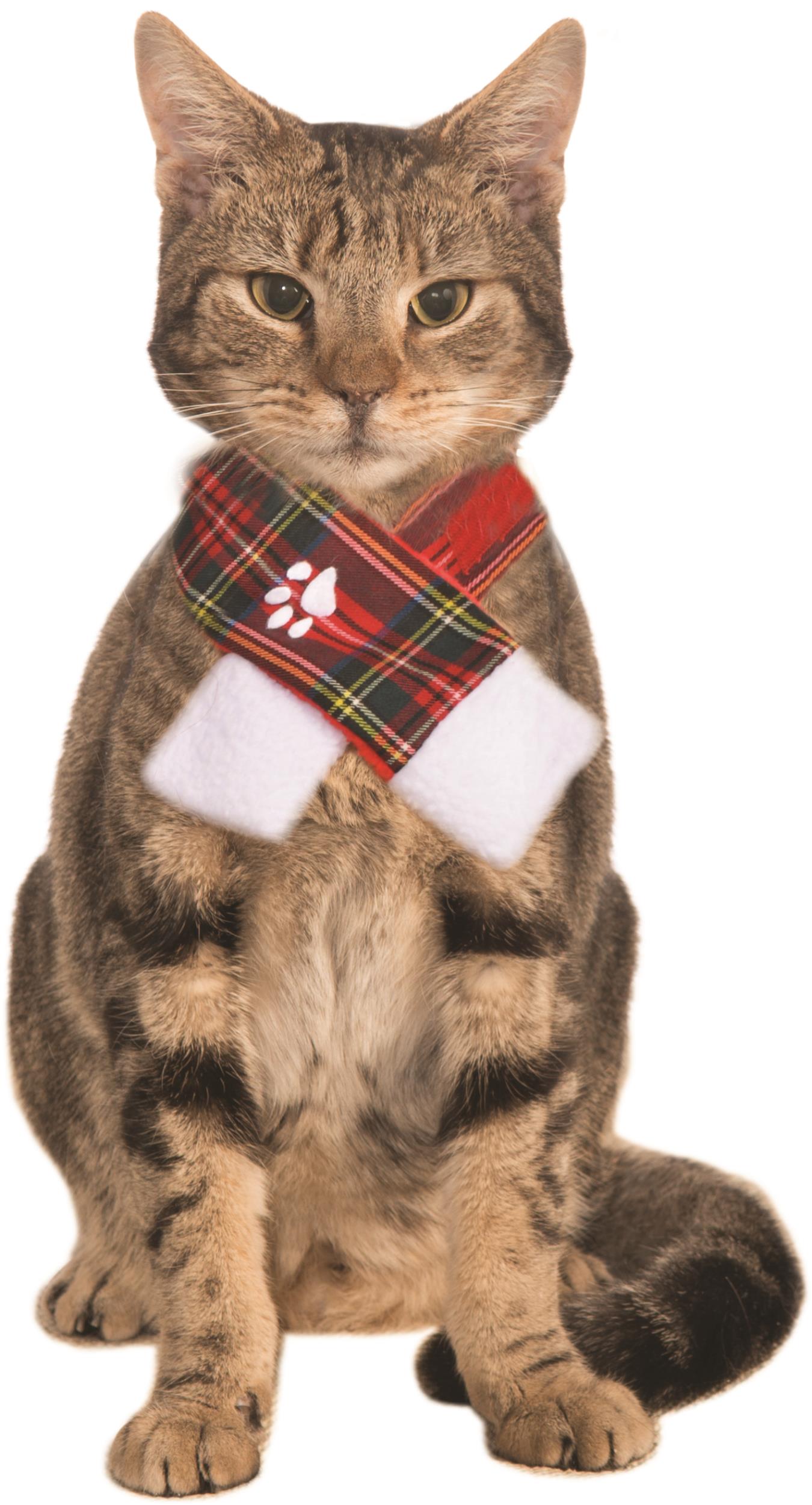 Christmas Scarf Pet Plaid Small/Medium