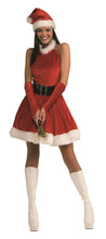 Load image into Gallery viewer, Santa Inspiration Sexy Dress Adult Medium
